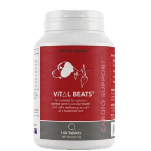 Vital Beats